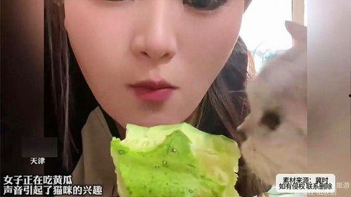 吃瓜模式 女生,瓜田里的青春秘闻