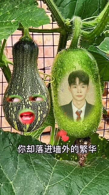 吃瓜视频用的特效,带你领略视觉盛宴背后的科技魅力