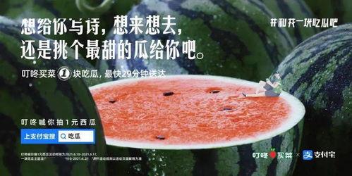 理性吃瓜文案,揭秘娱乐圈幕后真相