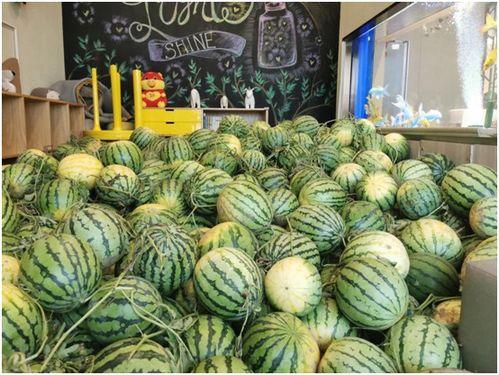 吃瓜网免费,吃瓜网带你畅游明星幕后生活