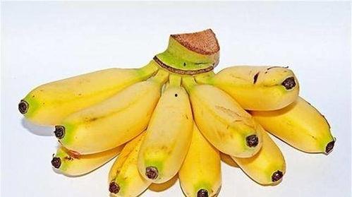 芭蕉芯吃瓜直播间,揭秘网红美食背后的故事