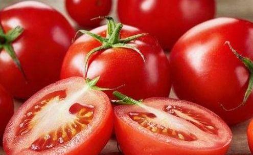 番茄小说吃瓜十八,揭秘娱乐圈背后的秘密与真相