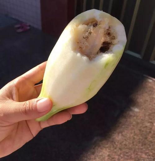 萧山区吃瓜,瓜果飘香，品味生活新风尚