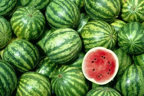 瓜吃西瓜小青蛙,小青蛙的奇妙冒险之旅