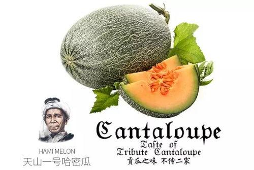 石狮吃瓜公众号,揭秘网络热点背后的故事与真相