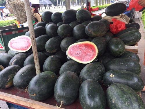 玉林市吃瓜,瓜果飘香，美食盛宴