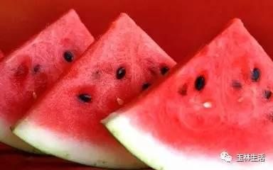 玉林市吃瓜,瓜果飘香，美食盛宴