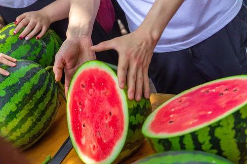 西安吃瓜大学,大学生们的趣味生活剪影