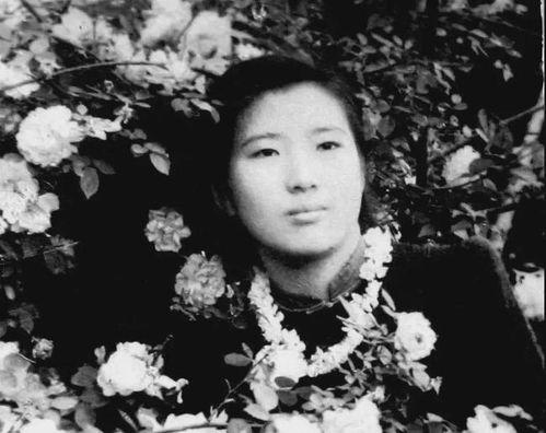 林夕吃瓜,揭秘娱乐圈幕后故事