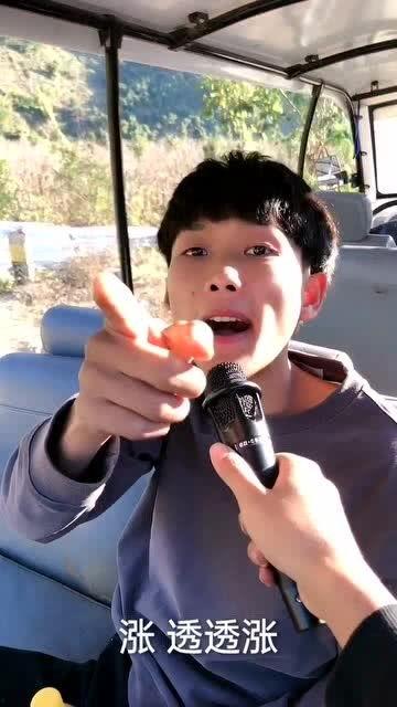 天天吃瓜吃不赢了,揭秘“天天吃瓜”背后的社会现象