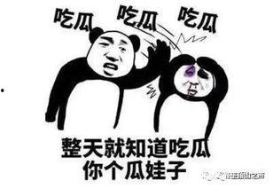 天天吃瓜吃不赢了,揭秘“天天吃瓜”背后的社会现象