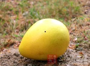 试管后可以吃瓜,见证生命奇迹，共享瓜果飘香