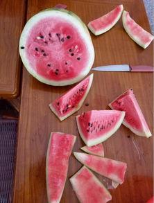 煮着吃的硬皮瓜叫啥瓜呀,煮食佳品——硬皮瓜的别样风味