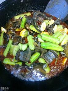 美食吃瓜厨房,探寻舌尖上的美味与趣味