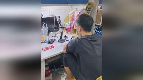 宿舍吃瓜视频大全,趣味视频全集盘点