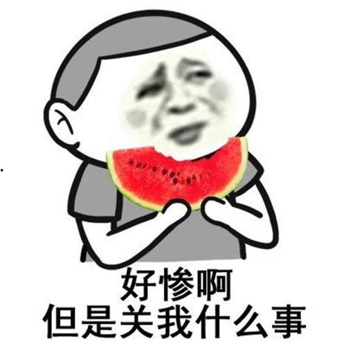 清晨吃瓜不懂就问,揭秘日常生活中的趣味知识