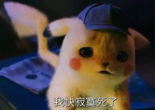 吃瓜了皮卡丘,萌宠界的“八卦”风云