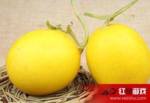 吃瓜嗓子难受,如何缓解夏日“嗓痛”困扰