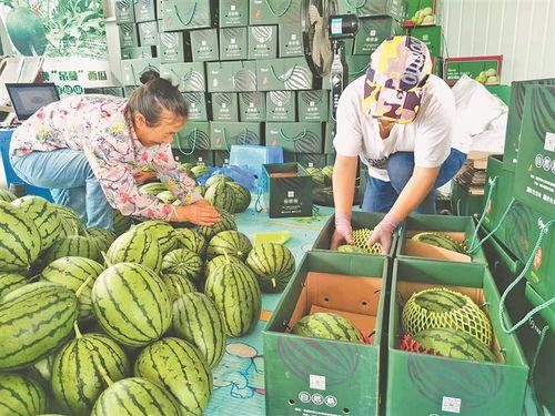 唐山吃瓜小分队,揭秘网络热点的幕后故事