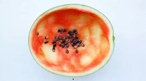 馆陶吃瓜真相,一场关于美食与文化的盛宴