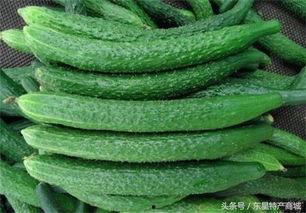 馆陶吃瓜真相,一场关于美食与文化的盛宴