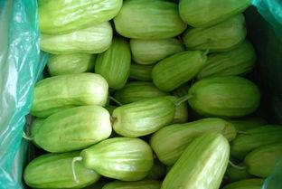 八棱瓜怎么吃的,解锁美味新体验