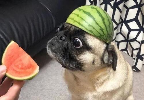 吃瓜心心后续,揭秘娱乐圈背后的故事与真相