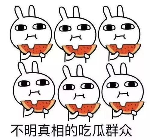 吃瓜行路人,探寻人生百态的趣味旅程