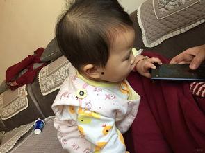 吃瓜kitty特效,趣味横生的视觉盛宴