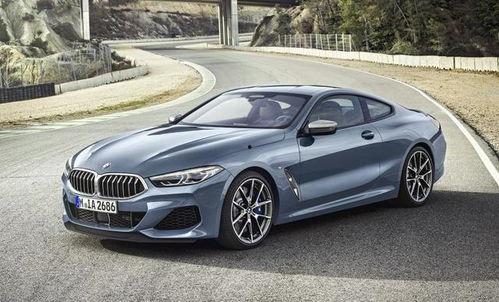 招远宝马事件吃瓜,一场悲剧引发的深思与反思