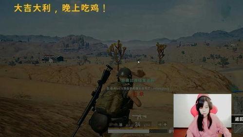 anemone吃瓜直播间,趣味横生的娱乐盛宴