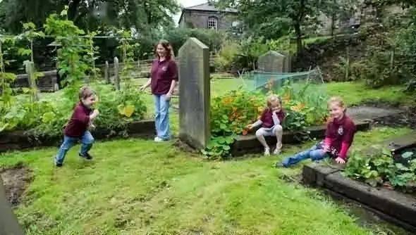 雨后的小镇吃瓜视频,一场别开生面的吃瓜盛宴