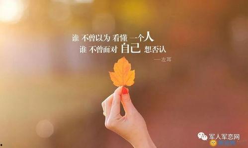 下雨吃瓜文案短句子,一场别样的夏日盛宴