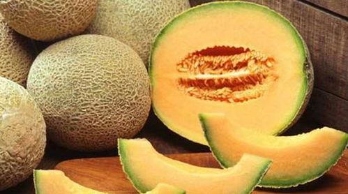 婴儿直接吃哈密瓜,探索天然美味与营养的完美结合