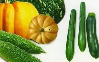 吃瓜监控有啥用,揭秘网络舆论背后的秘密与影响