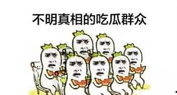团队吃瓜群众游戏