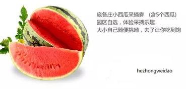 吃瓜防火中心,揭秘网络谣言背后的真相与防范策略