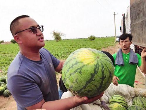 乌市吃瓜群,揭秘城市生活百态