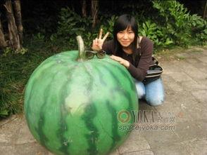 非宇吃瓜,揭秘娱乐圈幕后真相