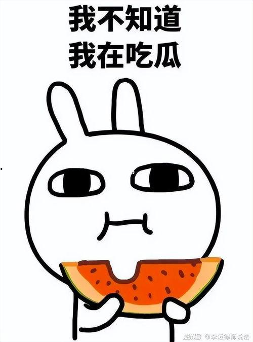 你吃大川的瓜了吗,品尝美味瞬间