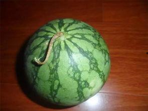 吃瓜挑好物,挑选好物的秘诀指南