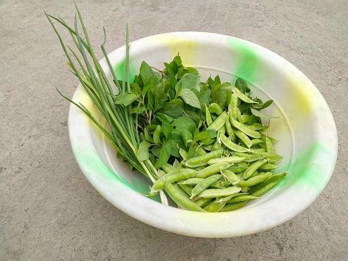 米瓜菜怎么吃,探索家常美味新境界