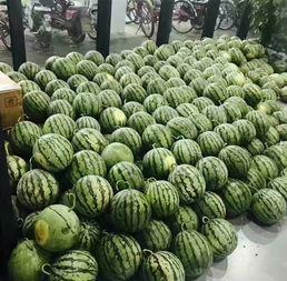 太和校园吃瓜,吃瓜群众的热议焦点