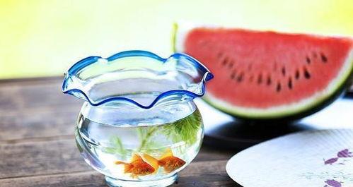 带你吃瓜奇怪料理,带你品尝那些令人惊奇的“吃瓜”料理