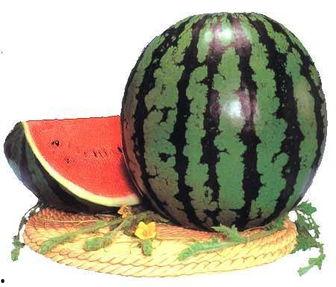 big吃瓜,big吃瓜事件背后的真相与影响