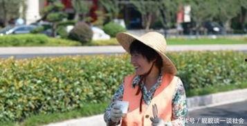 吃瓜七阿姨,揭秘娱乐圈背后的那些事儿