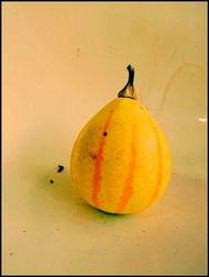 新沂吃瓜王庄,探寻乡村美食的独特魅力