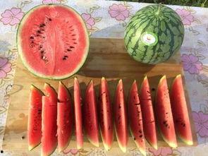 汉中同城吃瓜,揭秘本地热门事件背后的故事