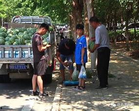 潮南吃瓜群众,揭秘当地美食文化背后的故事