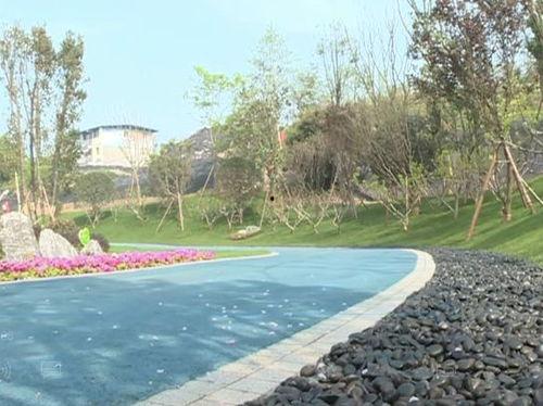 莲花湖公园吃瓜视频,一场别开生面的吃瓜盛宴